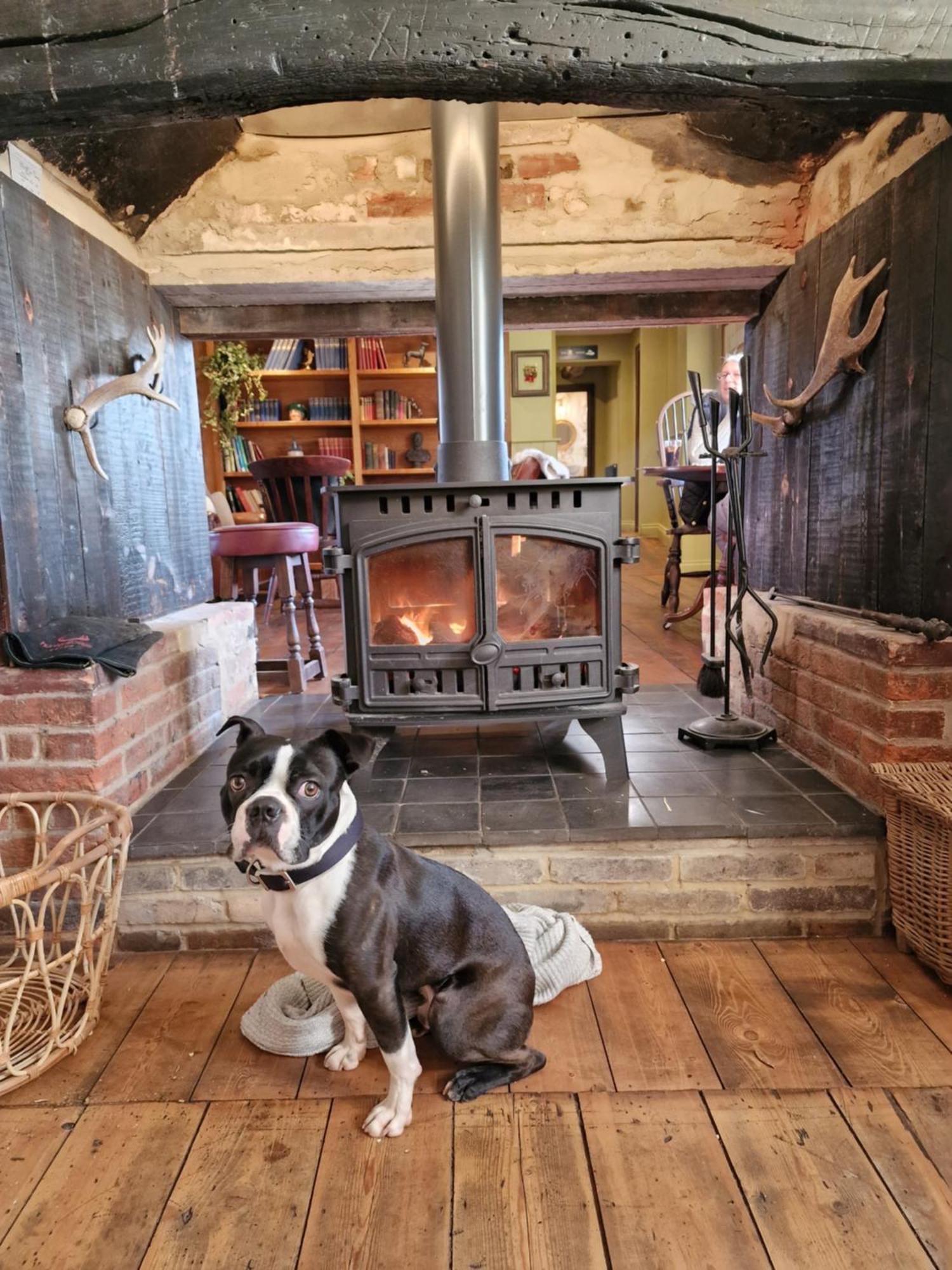 The Duke On The Test Romsey Exterior photo
